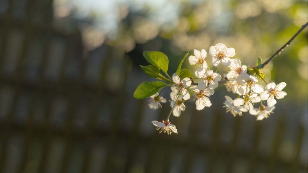 Maciej Zmitrukiewicz - natura