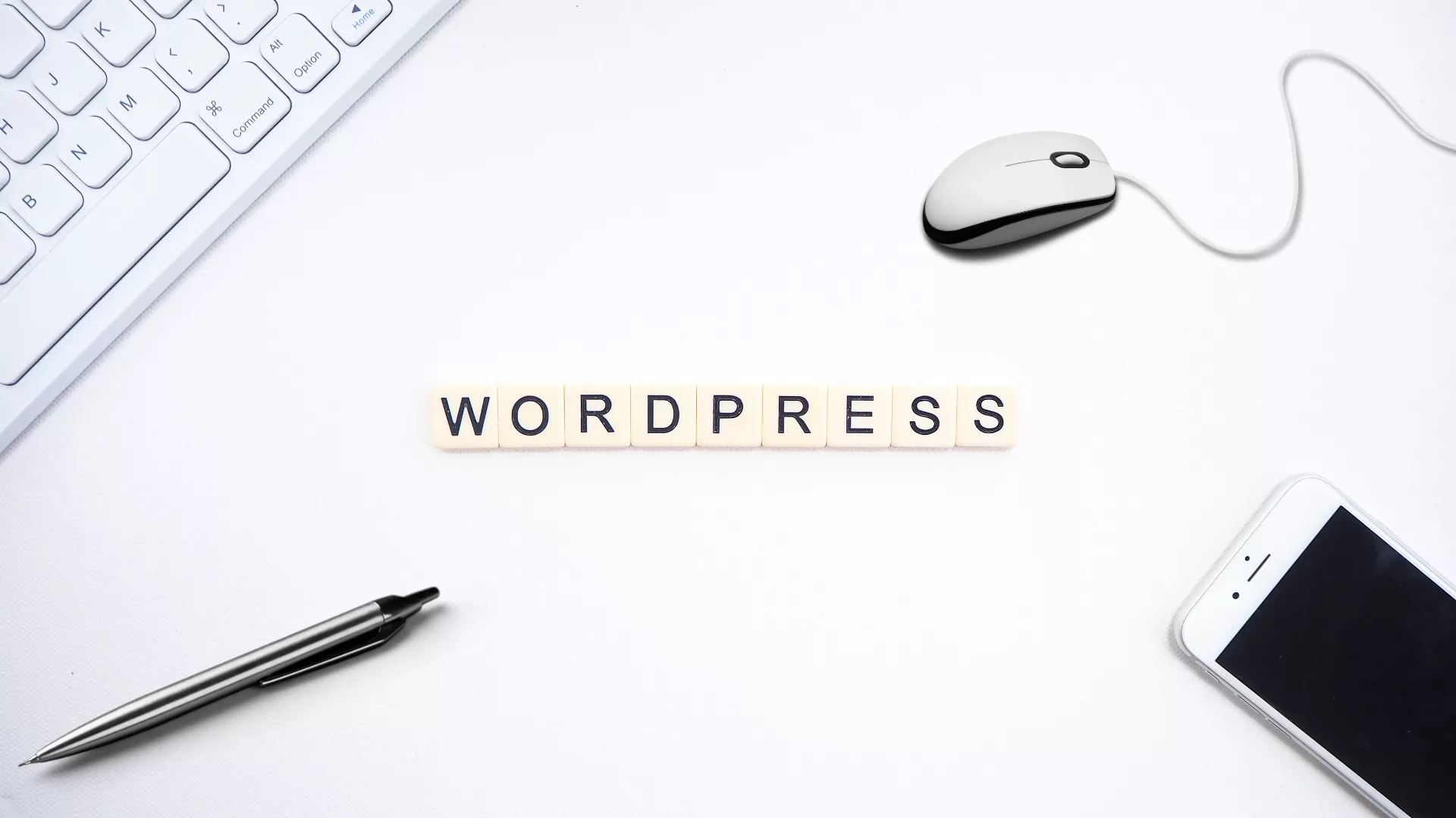 Podstawy wordpress