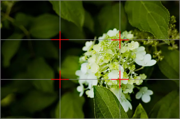 Zasada trzech fotografia